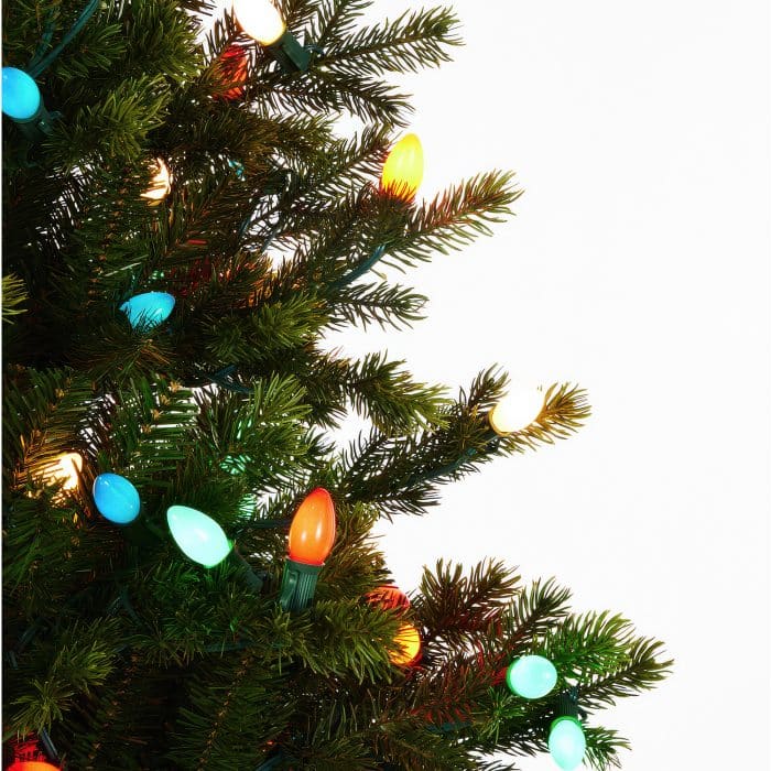 Fraser Fir with C7 Bulbs Christmas Tree Close Up
