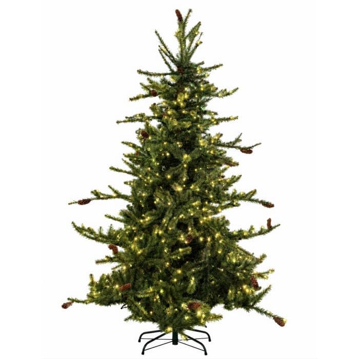 Deluxe Rocky Mountain Blue Spruce Twinkle
